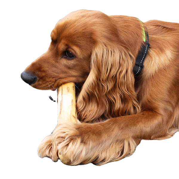 Good Dog Mighty Wood Chew Toys for Aggressive Chewers