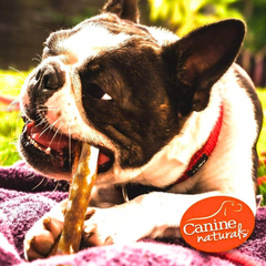Grain & Rawhide Free Dog Chew – Peanut Butter Sticks by Canine Naturals