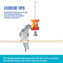 Hanging Barrel Bird Toy by All Living Things – Interactive Fun