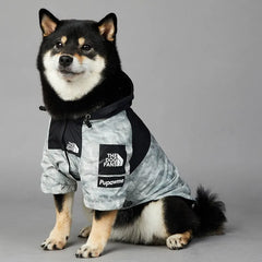 Dog wind and rain coat