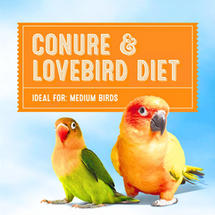 Healthy Seed & Pellet Blend for Lovebirds and Conures – 2 lbs