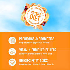 Healthy Seed & Pellet Medley – Finch and Canary Diet