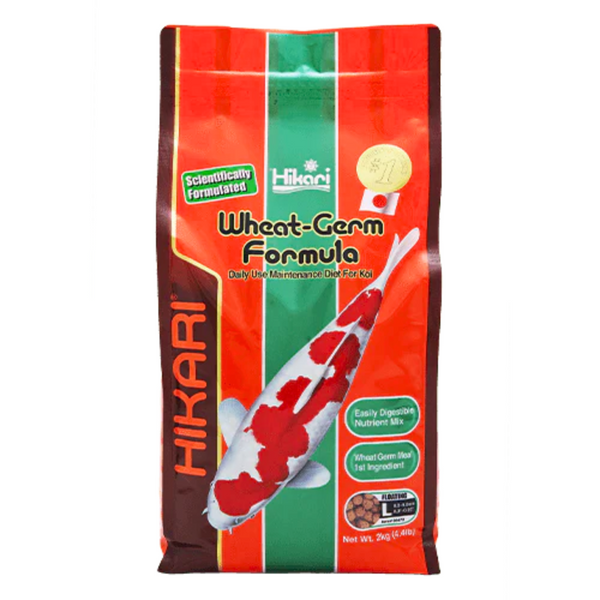 Hikari Floating Wheat Germ Pellets – Enhanced Digestion for Pond Fish