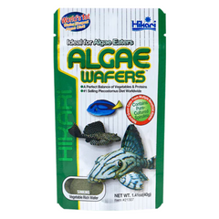 Hikari Tropical Algae Wafers – Nutritious Sinking Discs for Plecos