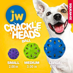 JW Pet Crackle Heads Crackle Ball – Durable Rubber Dog Toy with Crunchy Sound