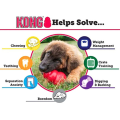 KONG Extreme Dog Toy – Er-ratic Bounce for Interactive Play