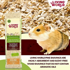 Kiln-Dried Pine Bedding for Small Animals – Low Dust & High Absorption