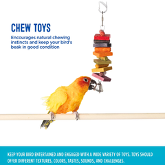 Log Bird Toy by All Living Things – Safe Play for Petite & Large Birds