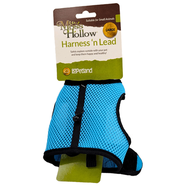 Moss Hollow Harness 'n Lead Set