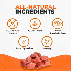 Natural Beef Sticks for Dogs – Healthy, Safe Chewing Alternative