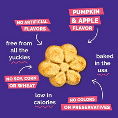 Natural Pumpkin & Apple Dog Treats by Fruitables – Wholesome & Delicious