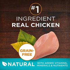 No-Grain Chicken Dry Food for Adult Cats, Vet-Approved