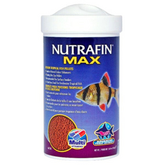Nutrafin Max Medium Tropical Fish Pellets – Floating, Multi-Vitamin Staple for Surface Feeders