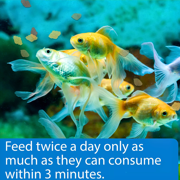 Nutrient-Rich Goldfish Food with Spirulina Algae