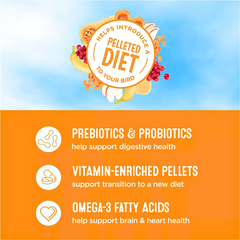 Nutritious Cockatiel Food – All Living Things 2 lb Mix