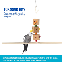 Paper Box Bird Toy by All Living Things – Durable Interactive Bird Fun