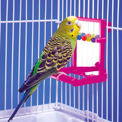 Penn-Plax Bird Life Landing Perch with Mirror and Beads