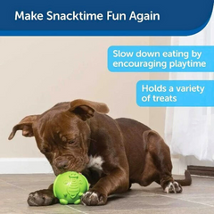 PetSafe Busy Buddy Animals – Chew & Treat Release Toy for Medium Dogs