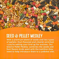 Premium Seed & Pellet Medley for Cockatiels – Healthy Bird Diet