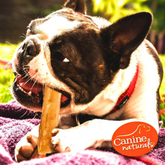Rawhide-Free Beef Dog Sticks – Gentle on Stomach, Packed with Flavor