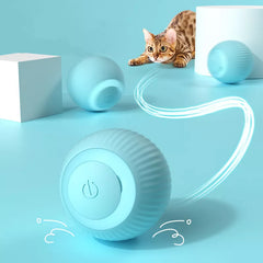 Smart Pet Play Sphere