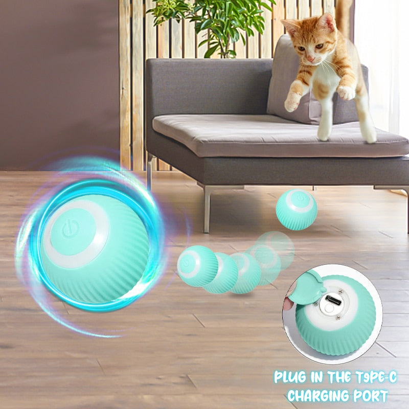 Smart Pet Play Sphere