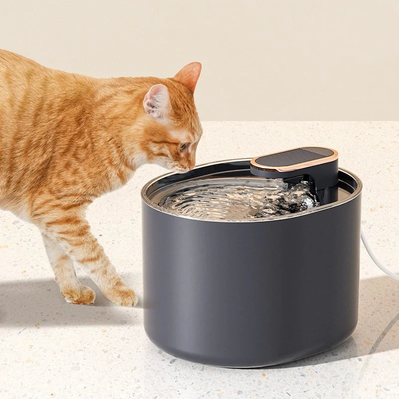 Pet Water Fountain with LED Light