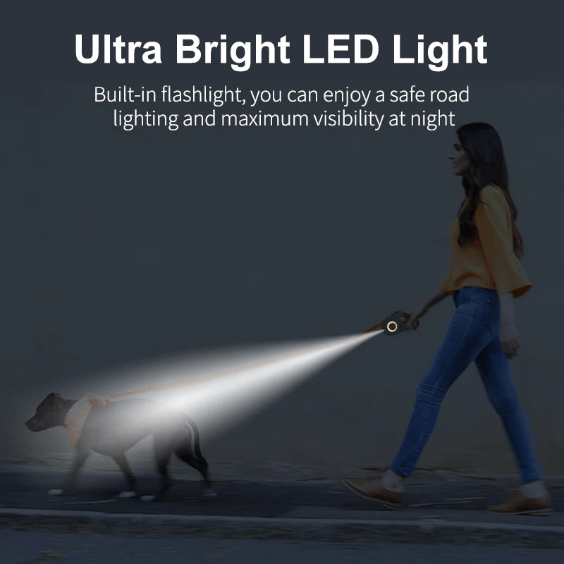 Illuminating Dog Leash