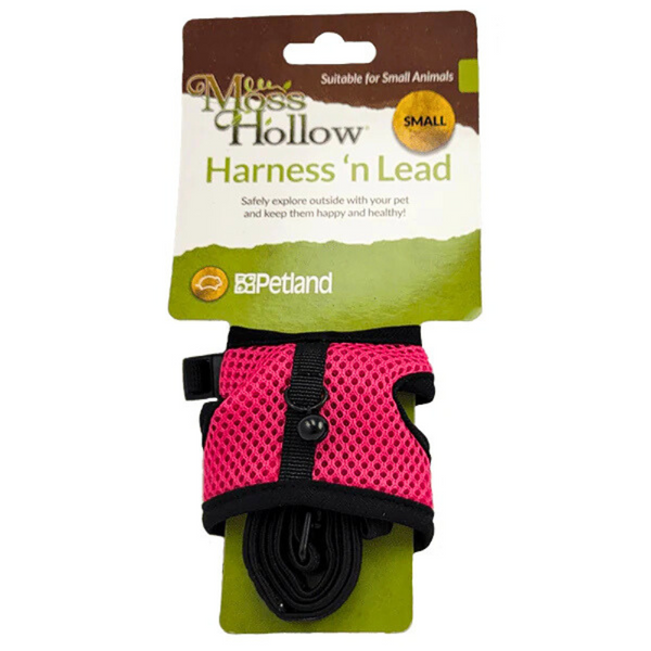 Secure Outdoor Harness & Lead Set – Moss Hollow for Rabbits, Guinea Pigs & Small Animals