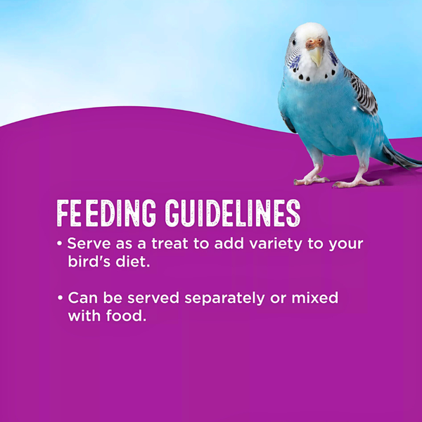 Shelled Peanuts by All Living Things – Natural Snack for Birds