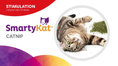 SmartyKat Catnip