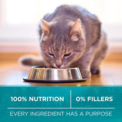 Support Energy & Immunity with Chicken-Rich Cat Food