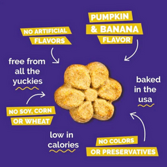Tasty Pumpkin & Banana Dog Treats by Fruitables – All-Natural & Crunchy