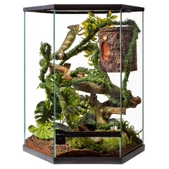 Thrive Vertical Hexagon Tropical Reptile Terrarium -20 Gallon