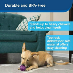 Treat-Dispensing Busy Buddy Animals Toy – Durable, Non-Toxic, Dishwasher Safe