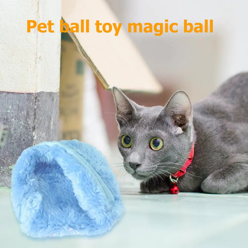 Automatic Magic Roller Ball