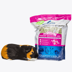 Blue Mountain Hay High-Altitude Organic Meadow Hay, 15oz