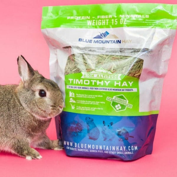 Blue Mountain Hay High-Altitude Timothy Hay (1st Cutting)