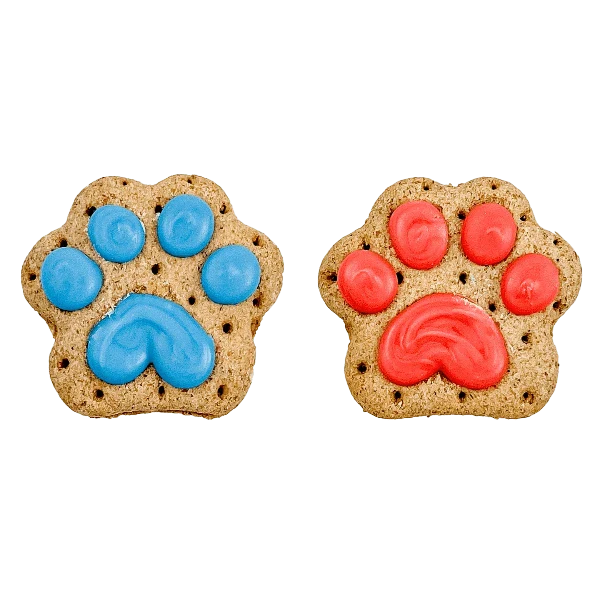 Bosco and Roxy's Birthday | Let the Paw-nanigans Begin!