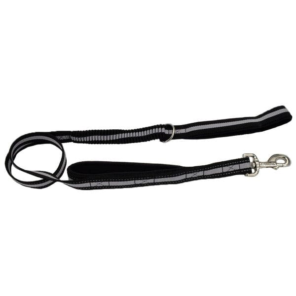 Coastal Double-Handle Bungee Leash