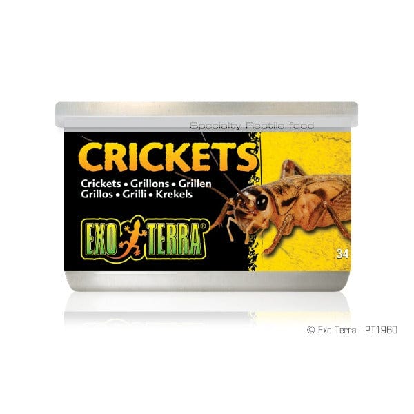 Exo Terra Crickets Canned Specialty Reptile Food