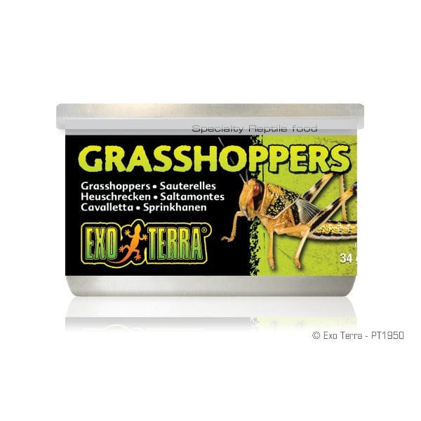 Exo Terra Grasshoppers Canned Specialty Reptile Food