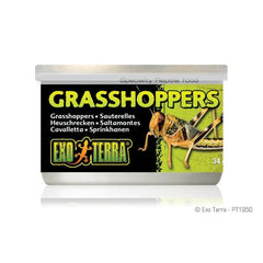 Exo Terra Grasshoppers Canned Specialty Reptile Food