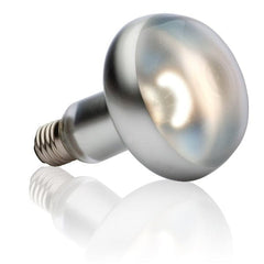 Exo Terra Intense Basking Spot Lamp