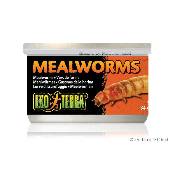 Exo Terra Mealworms Canned Specialty Reptile Food