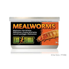 Exo Terra Mealworms Canned Specialty Reptile Food