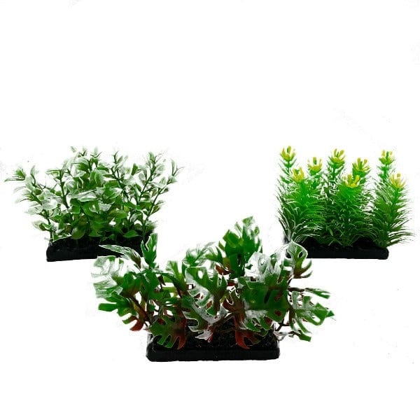 Fish Gear Foreground 3-Pack Aquarium Plants (4")