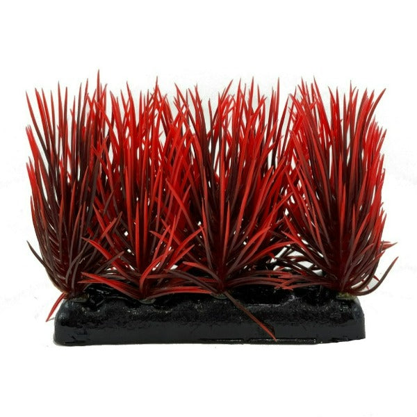 Fish Gear Foreground Red & Black Hairgrass Aquarium Plant (4")