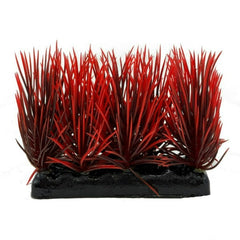 Fish Gear Foreground Red & Black Hairgrass Aquarium Plant (4")