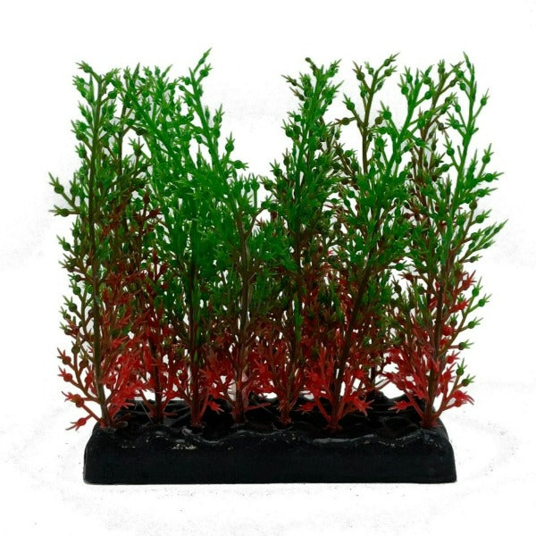 Fish Gear Foreground Red & Green Hygrophila Aquarium Plant (4")